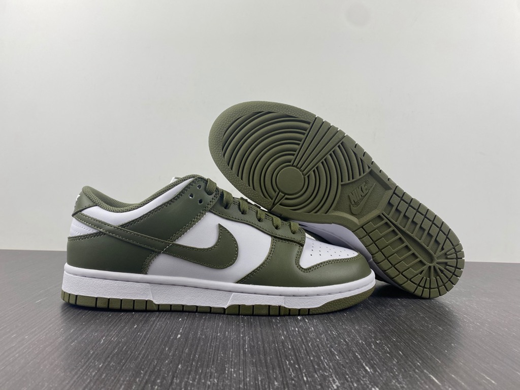 Dunk Low DD1503-120